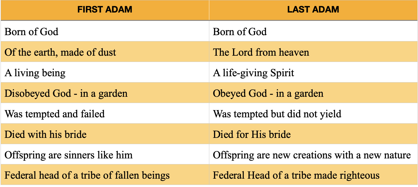 The Two Adams in the Bible