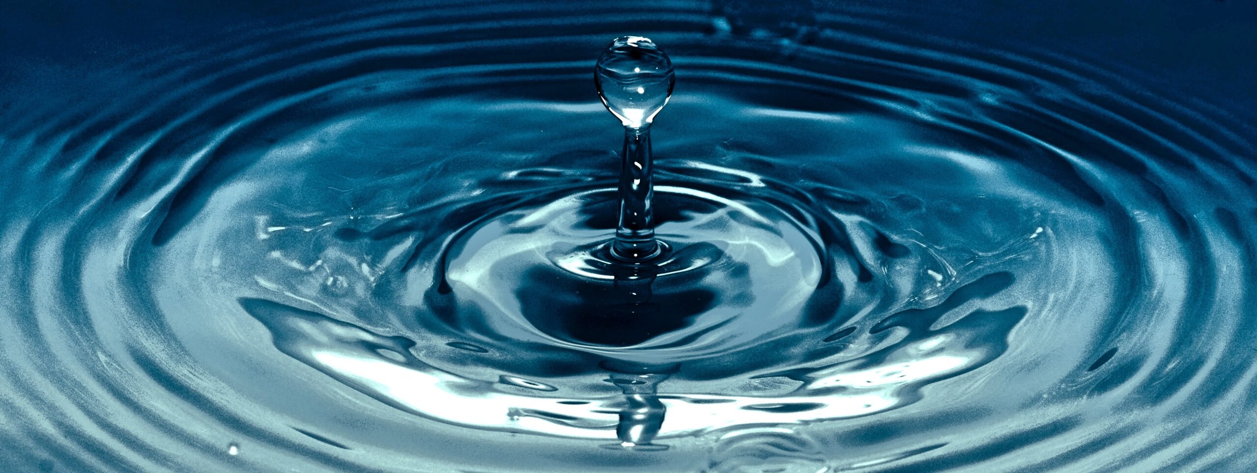 Read more about the article The Washing of Water by the Word